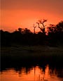 Chobe National Park,